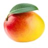 mango profil fotoğrafı
