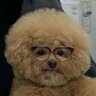 herr gaer's profile picture