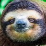 Profilbild von Al Re