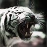 Valar Morghulis's profile picture