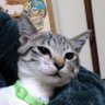 マイ 的头像