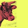 DeFi Warhol profil fotoğrafı