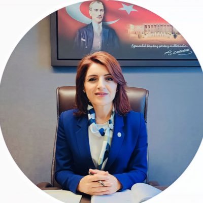 GulcanKis's profile picture