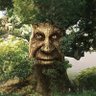 Profilbild von Bill y