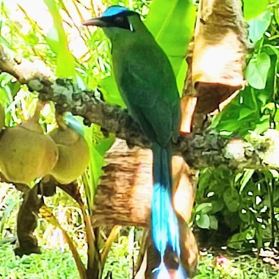 soydeituango's profile picture