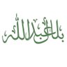 Фото профиля Abdullah
