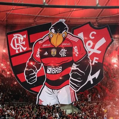 fdsppaixao's profile picture