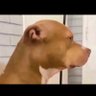 TopG 的头像
