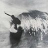\\ Moo's profile picture