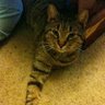 Madame Melinda's profile picture
