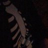 Profilbild von Ethans unstable 🧷🖤