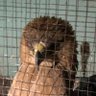 turk guard's profile picture