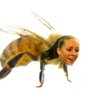 Nanning Bee 的头像