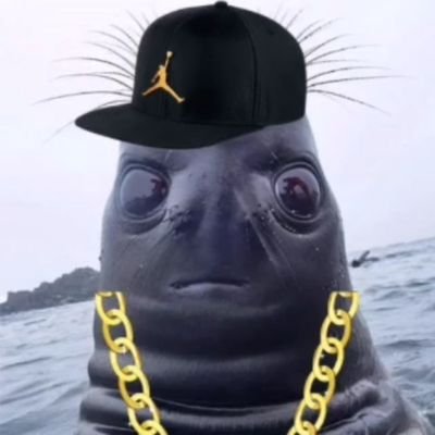 brgjorgito's profile picture