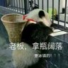 呆蛙的祖宗 profil fotoğrafı