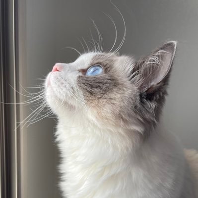 vgNwxIiuImE3oJi's profile picture