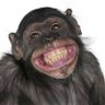 สมาย Happy profil fotoğrafı