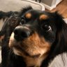 Jet's profile picture