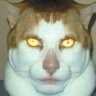 Leonardo Ramos's profile picture