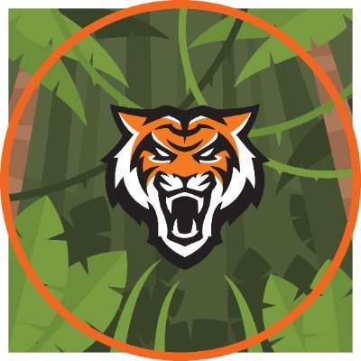 THEJUNGLEOFISU's profile picture