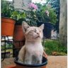 Фото профиля Sunsun24