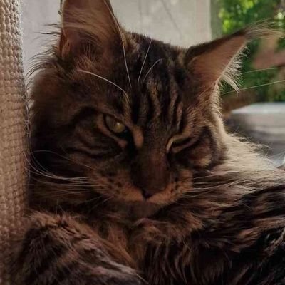 55Epa's profile picture