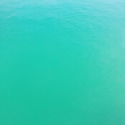 路's profile picture