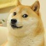Profilbild von PieseŁ