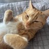 Profilbild von Leo