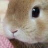 Profilbild von おさ