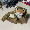 chill tiger 的头像