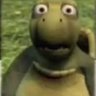 op.43's profile picture