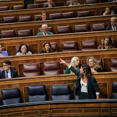 Beatriz Bandera Valladares🔻's profile picture