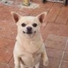 Bäzz's profile picture