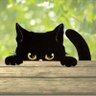 黒猫シャノ's profile picture