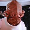 Фото профиля Admiral Ackbar