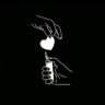 محمد ابو مريم(شيريا)'s profile picture