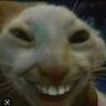 Profilbild von Geronimo Stilton