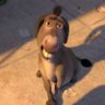 Flavia profil fotoğrafı