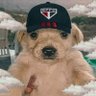 Фото профиля guto