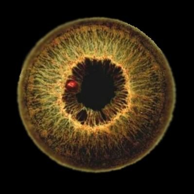 TWINSTTE's profile picture