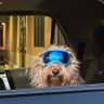 Strider profil fotoğrafı