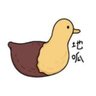 Profilbild von Jimwang