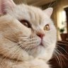 serdarkln profil fotoğrafı