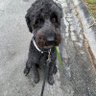 Profilbild von Bo Bennick