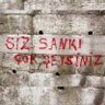 Özgür Sönmez 的头像