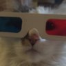 Inter Mogwai profil fotoğrafı