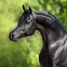 عبدالاله بن علي's profile picture
