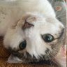 masaq profil fotoğrafı