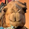 Del Pinar's profile picture